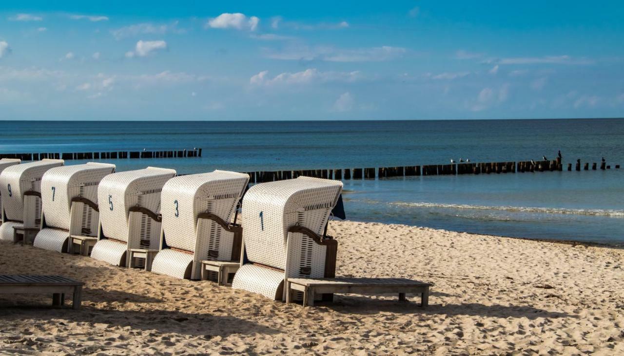 Premium-Lodge Im Der Suedschwede ... Dein Gaestehaus Mitten In Zingst Bagian luar foto